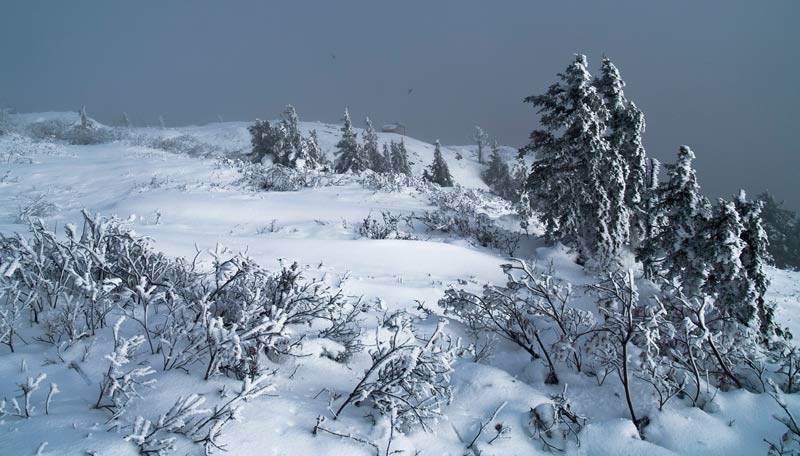 un petit avant gout d hiver