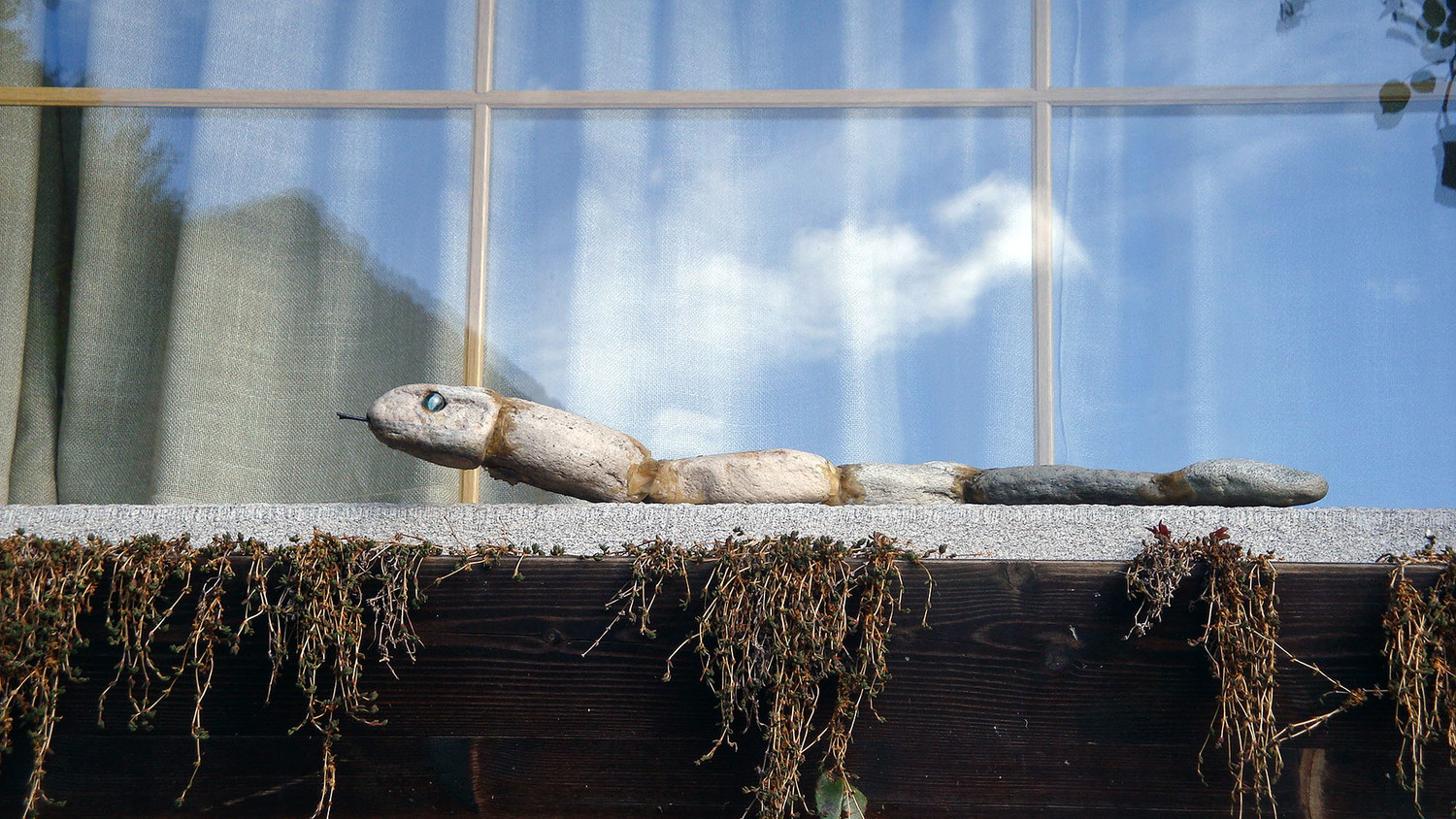 Lagua: Serpent dangereux.