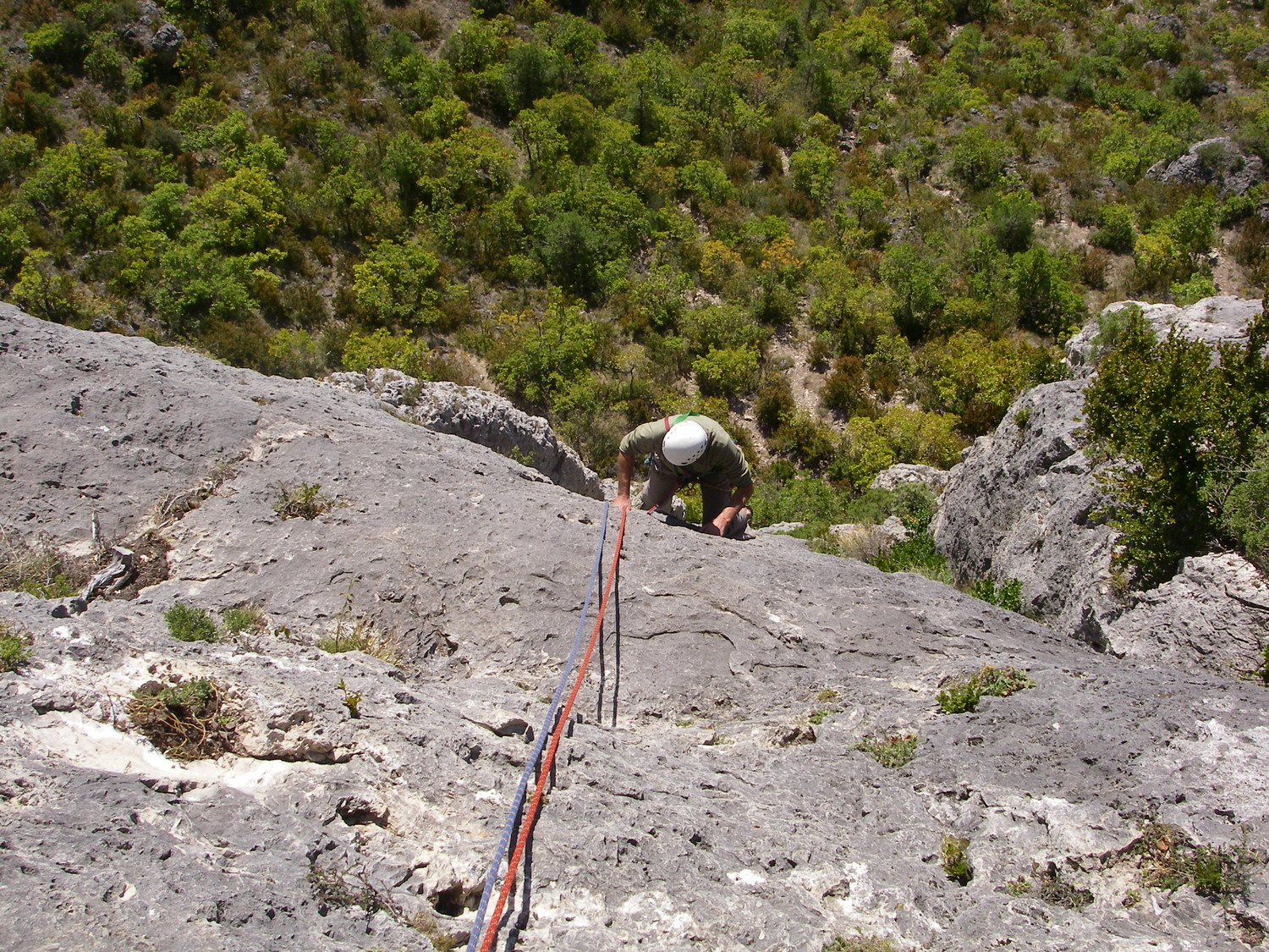 L3 du bitard