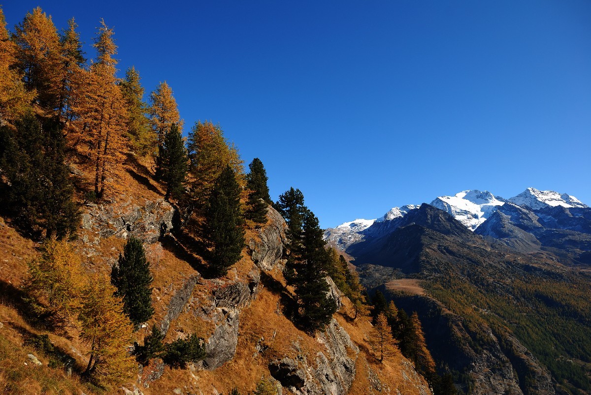 Sur le sentier balcon Grächen - Saas Fee, au fond le Fletschhorn et le Lagginhorn