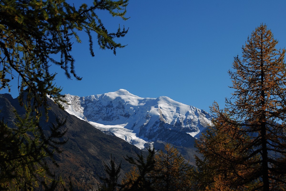 Sur le sentier balcon Grächen - Saas Fee, au fond le Weissmies