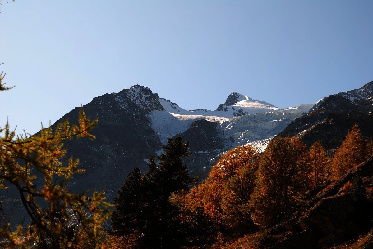 Sur le sentier balcon Grächen - Saas Fee, au fond l'Ulrichshorn (3925m)