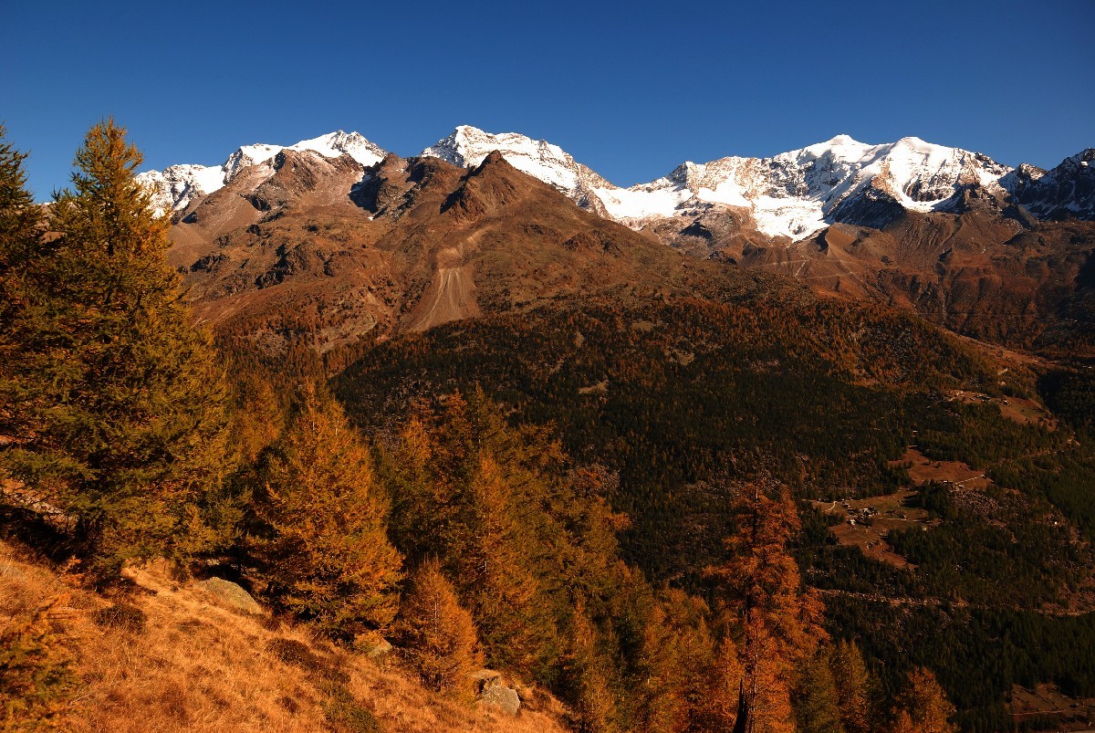Sur le sentier balcon Grächen - Saas Fee, au fond Fletschhorn, Lagginhorn et Weissmies