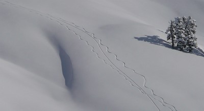 Lignes épurées Lignes épurées