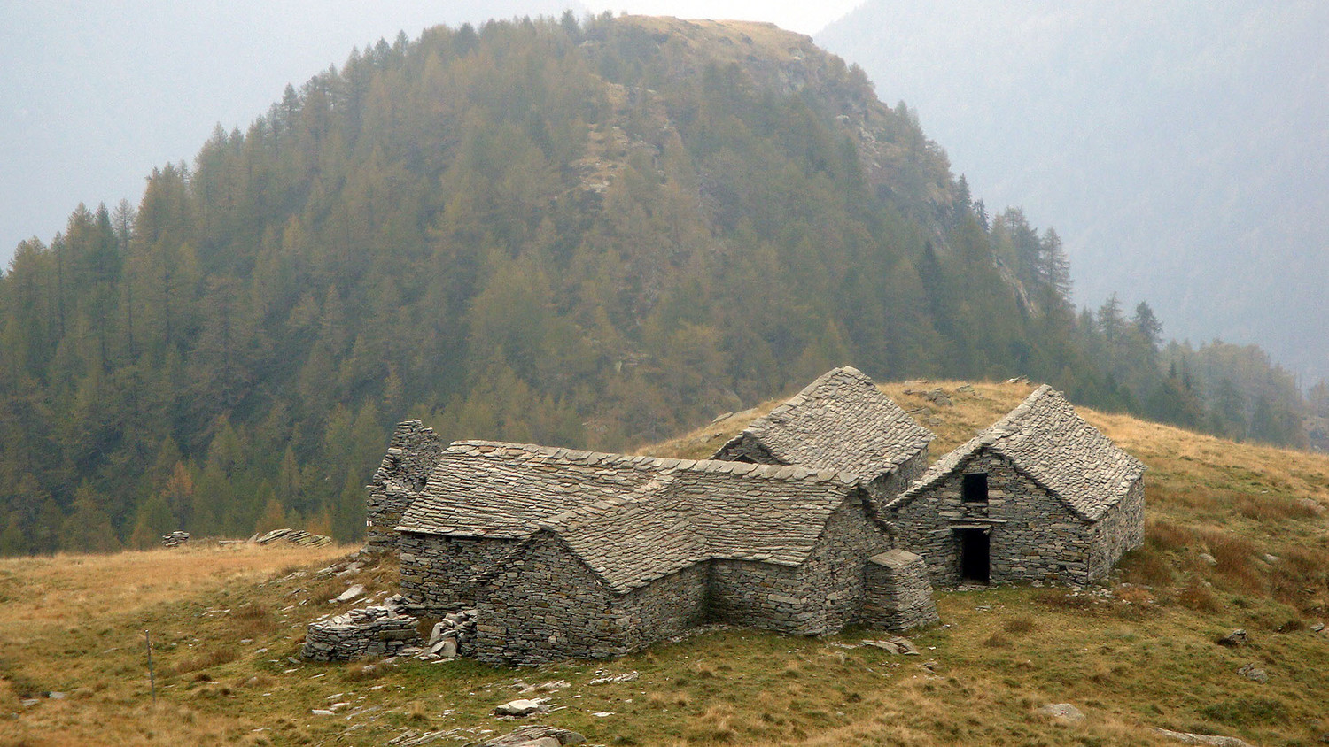 Alpe Albezzona / Ribia