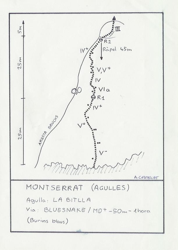 Topo Montserrat - Agulles, Bluesnake