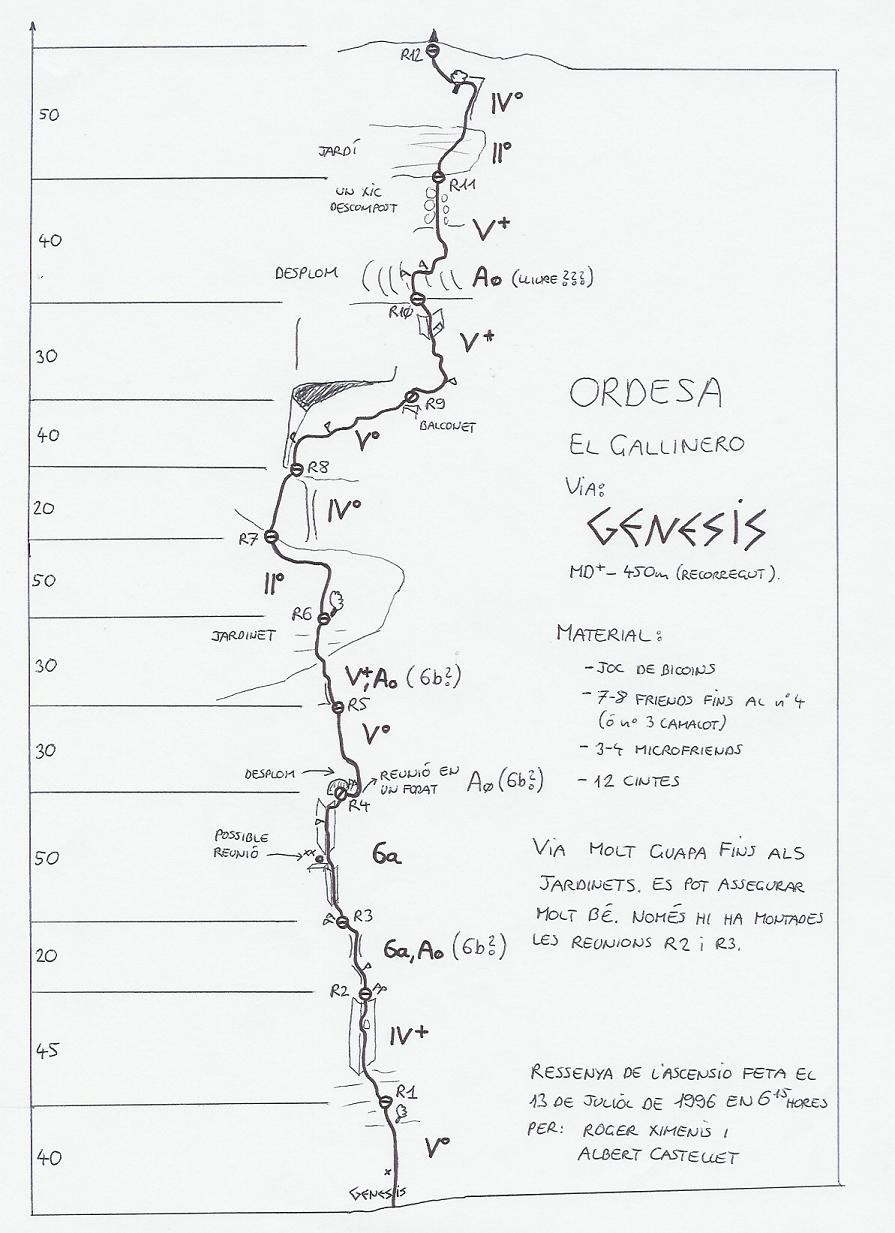 Topo Gallinero : Genesis