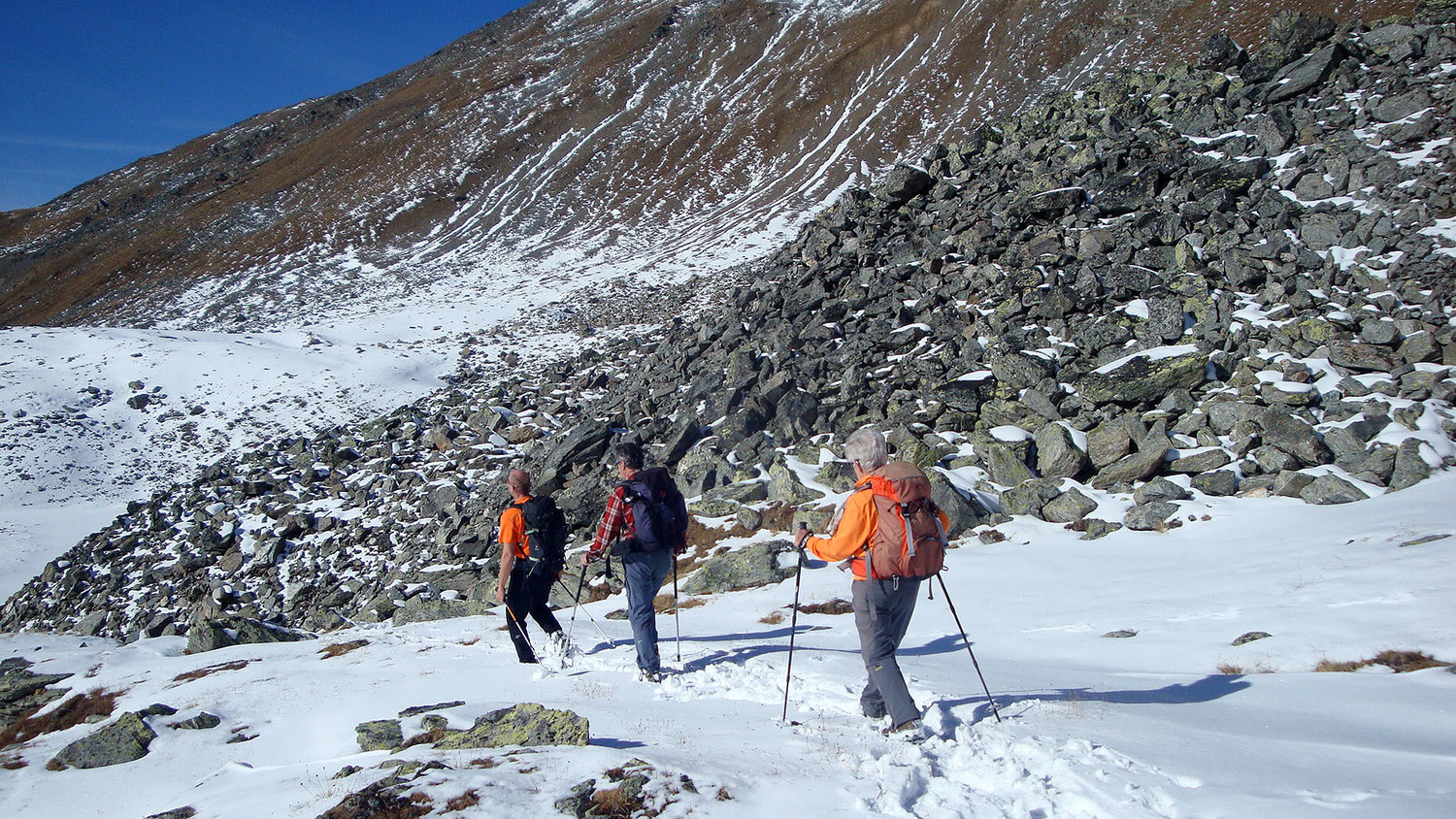 Descente Niggeling