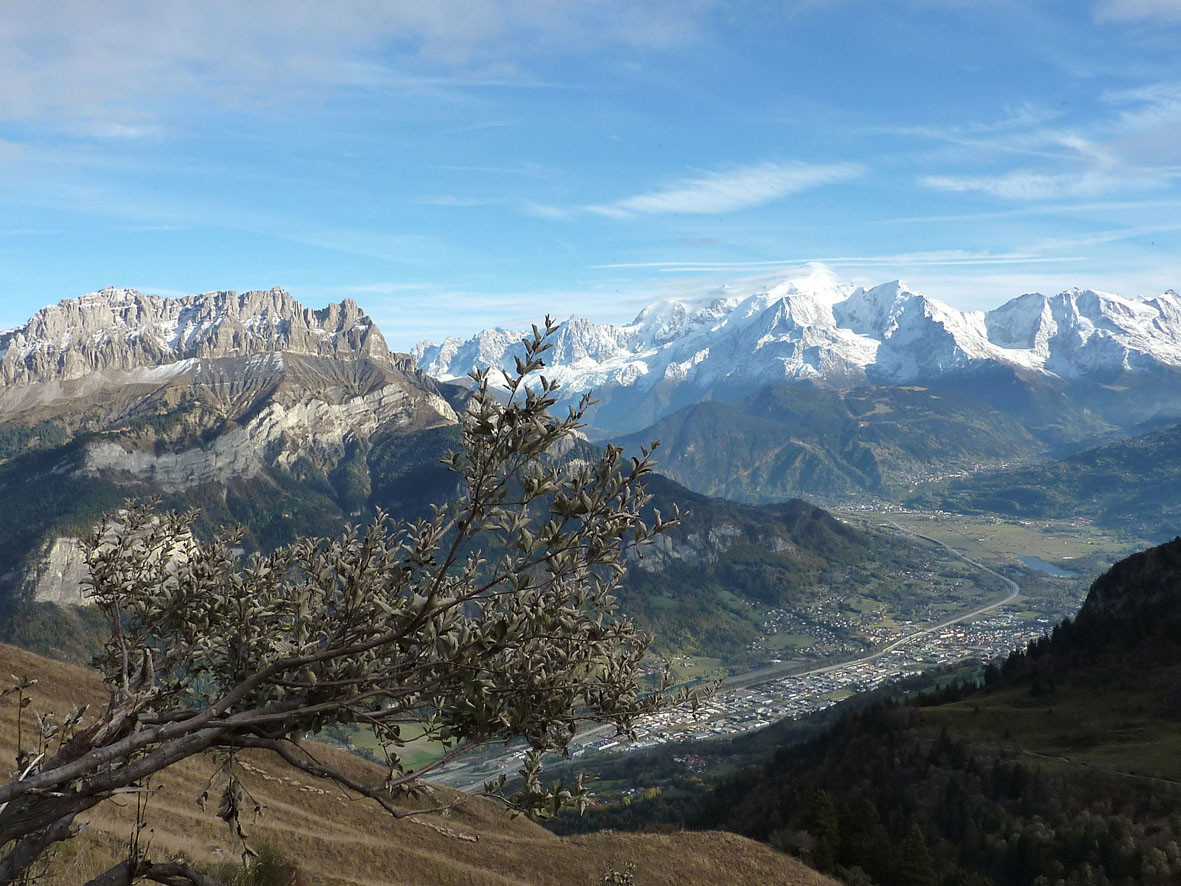 Descente vers les chalets de Doran