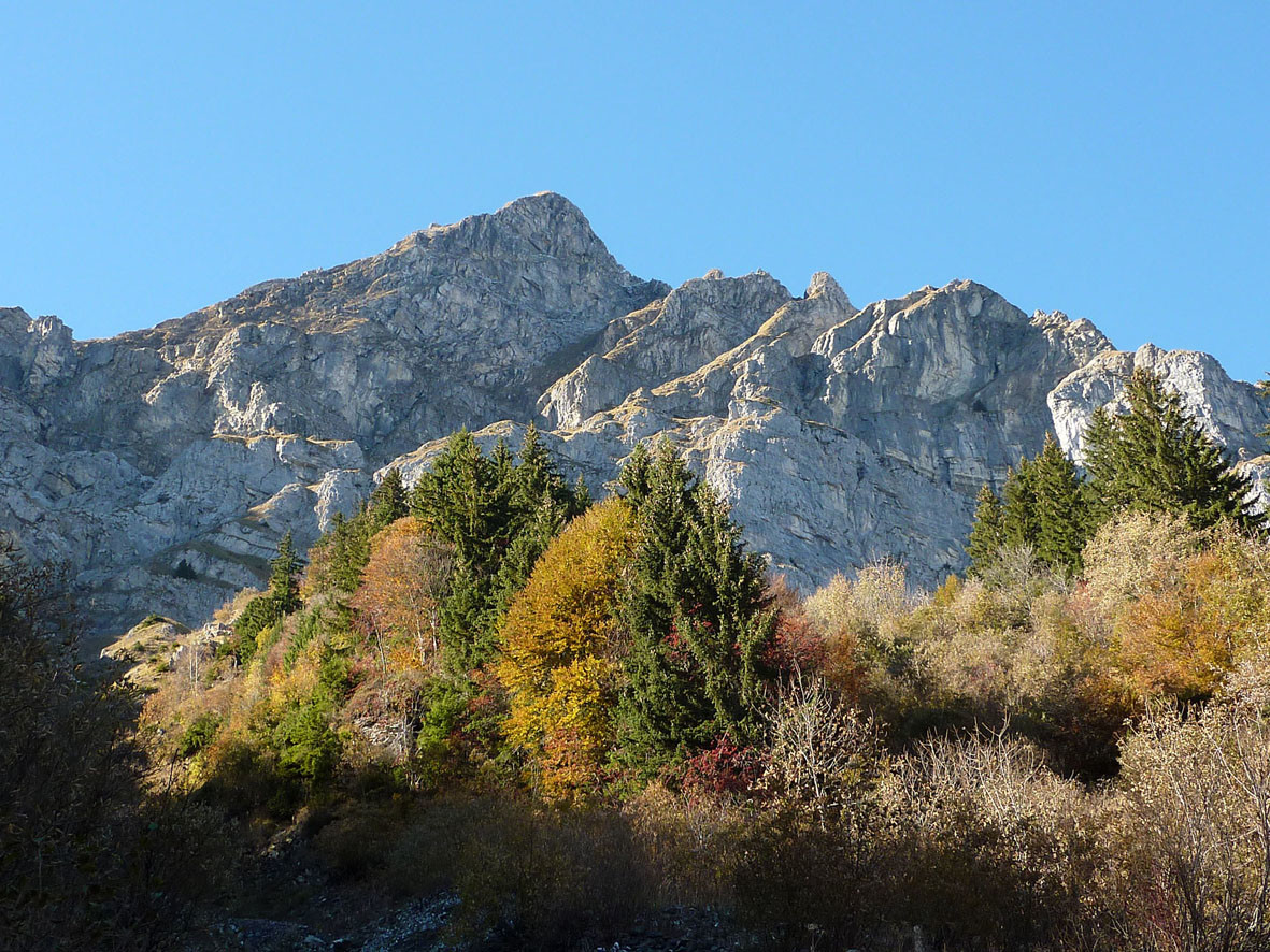 Automne