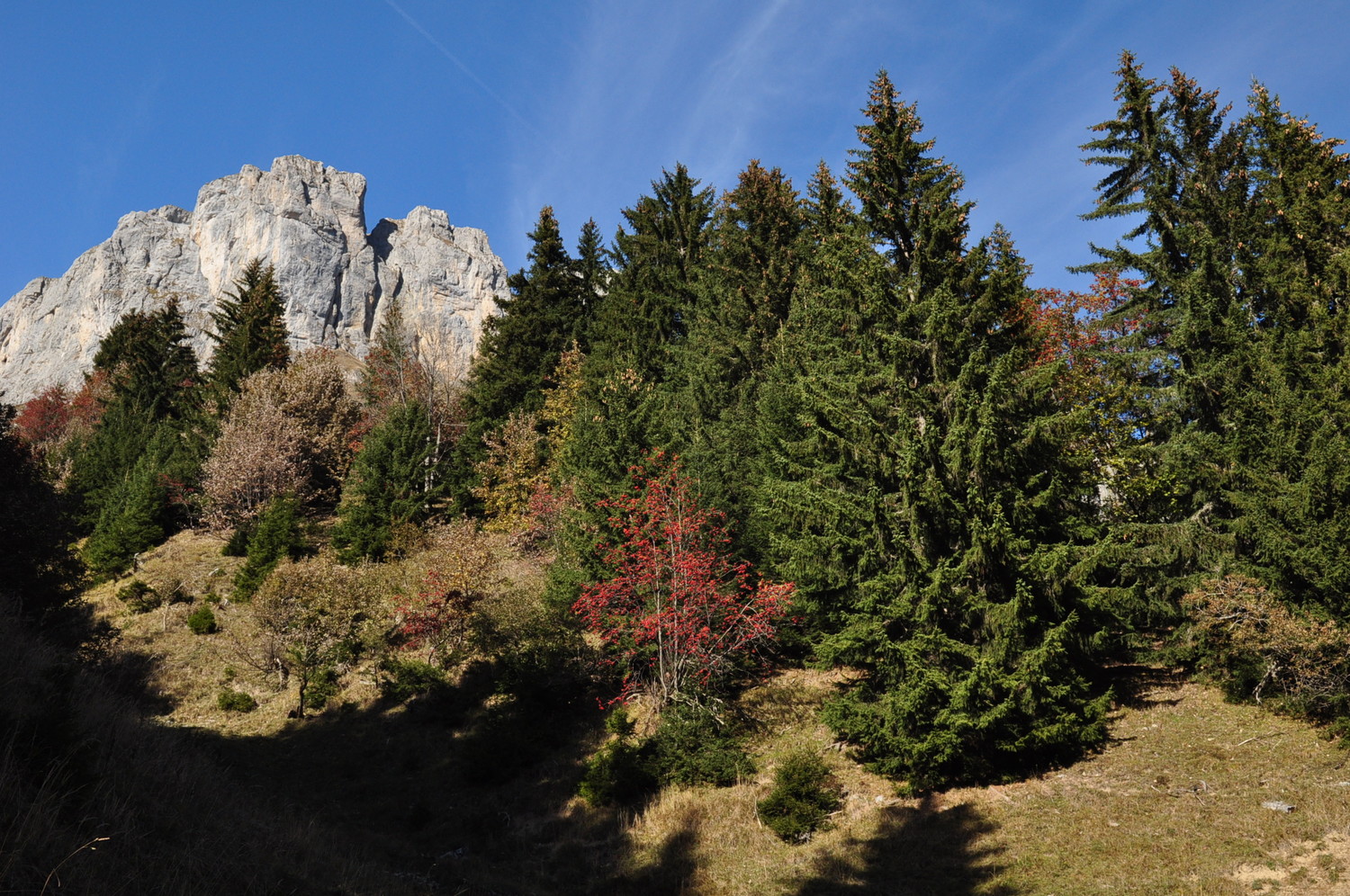 C'est l'automne !
