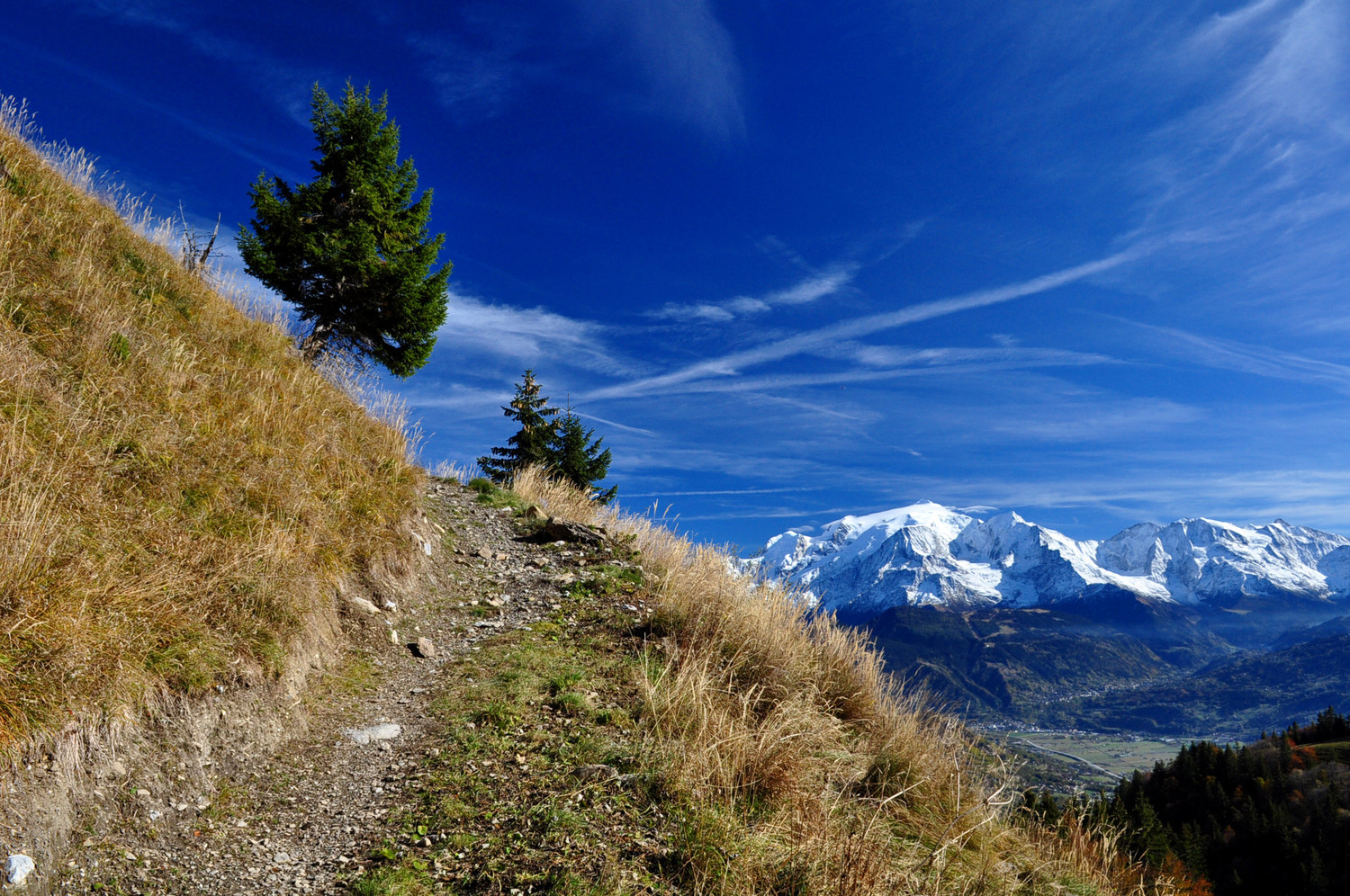 Mont-Blanc au retour
