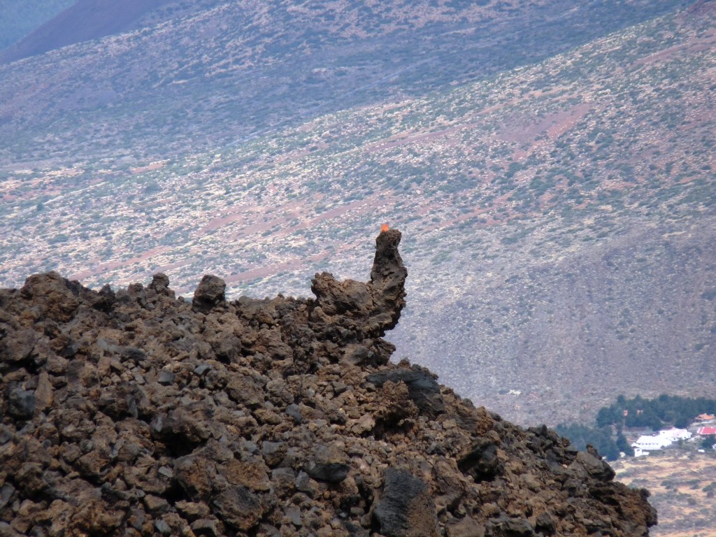 le Coq du Teide (sculpture volcanique "arrangée")