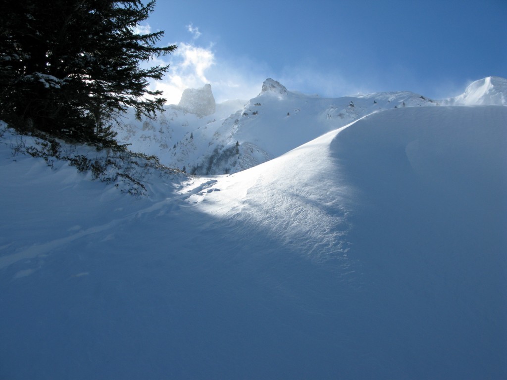 sortie de la foret