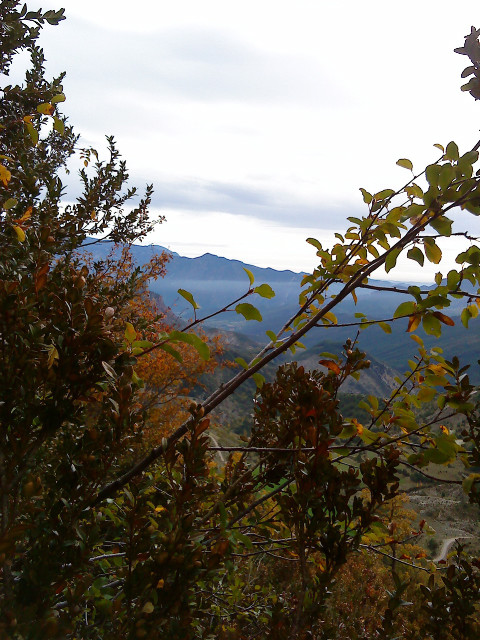 Vue du départ de la voie