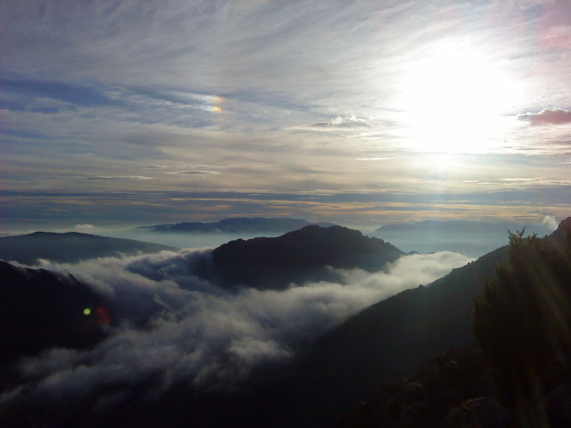 La brume monte