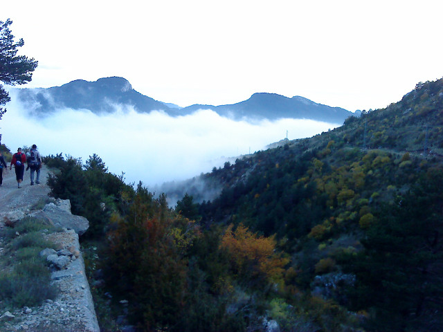 La brume monte