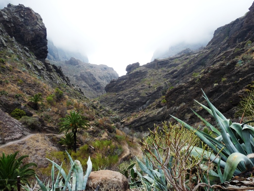 Masca : début du Barranco