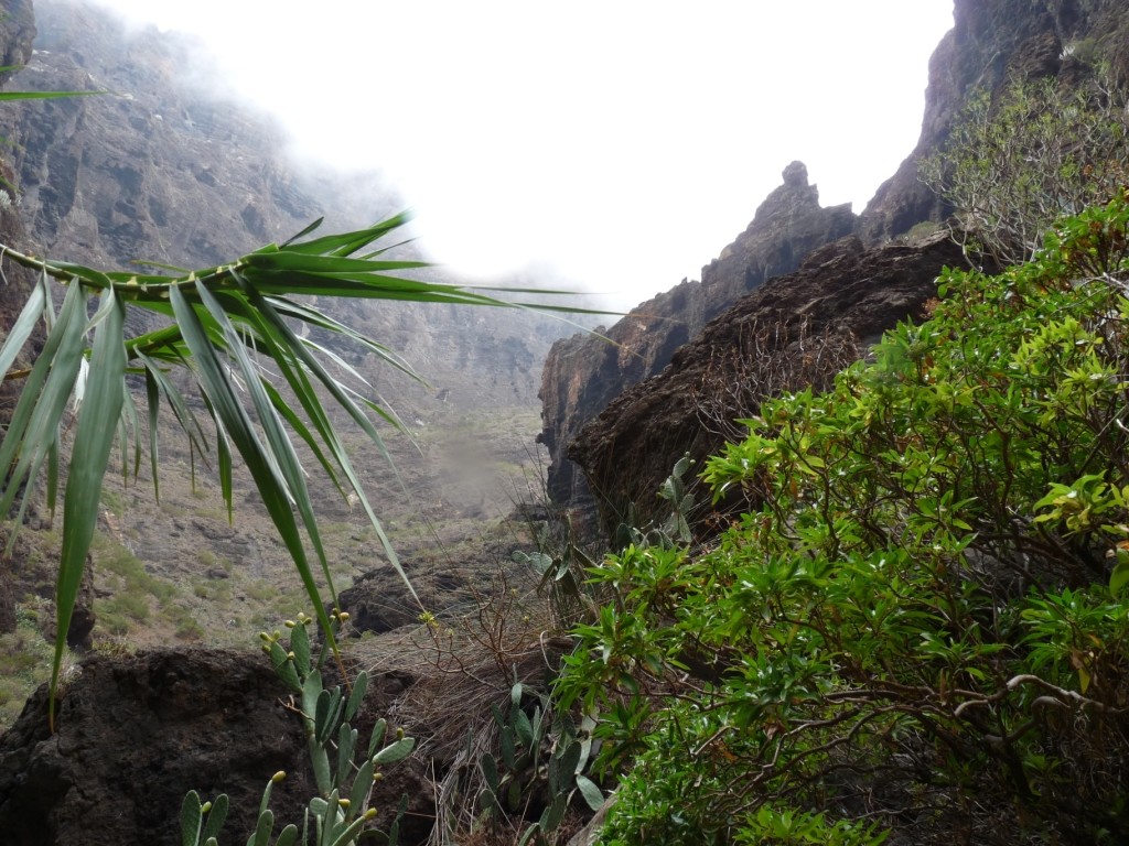 Barranco de Masca : on descend...
