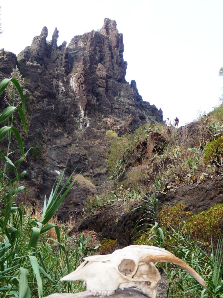 Barranco de Masca : expédition à risque !