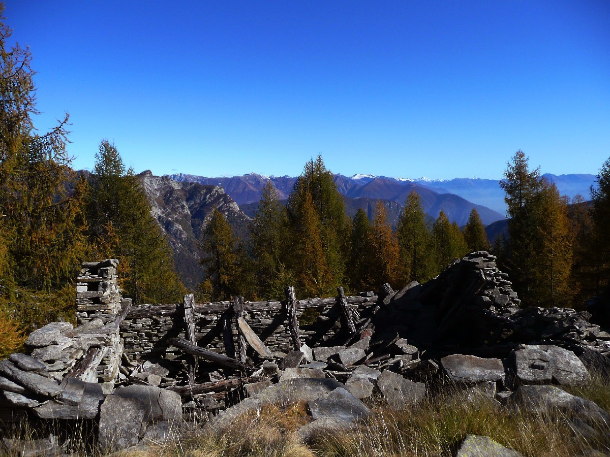 Alpe Lombardone