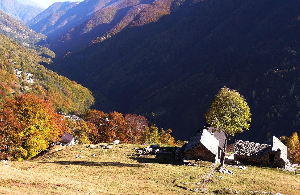 Alpe Cavoo, Valle Onsernone, Tessin