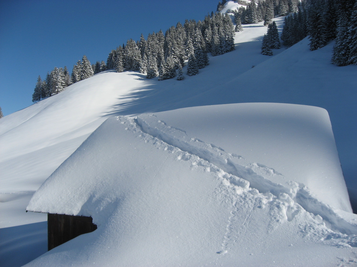 trace sur le toit d'un chalet d'alpage hameau de la buchille