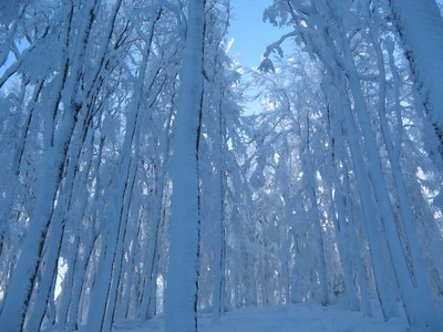 Neiges Vosgiennes Neiges Vosgiennes