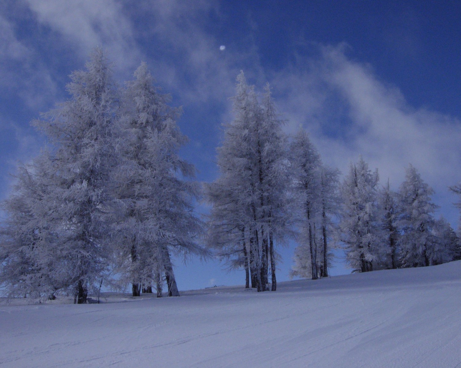 matin d'hiver