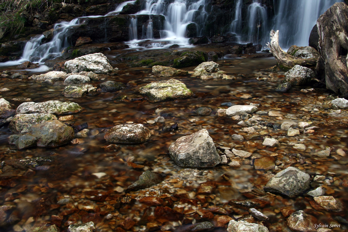 Cours d'eau en Chartreuse