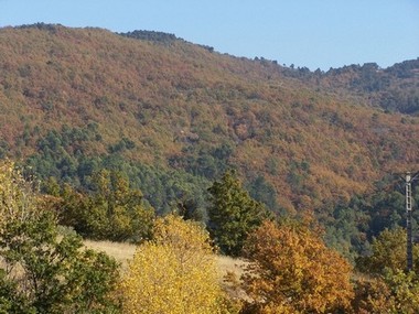 Vue des collines depuis le gîte Vue des collines depuis le gîte