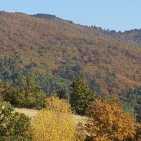 Vue des collines depuis le gîte