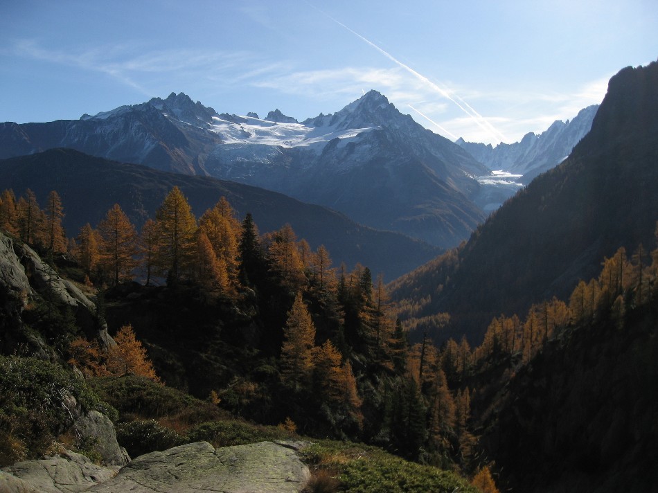 Sortie de la forêt