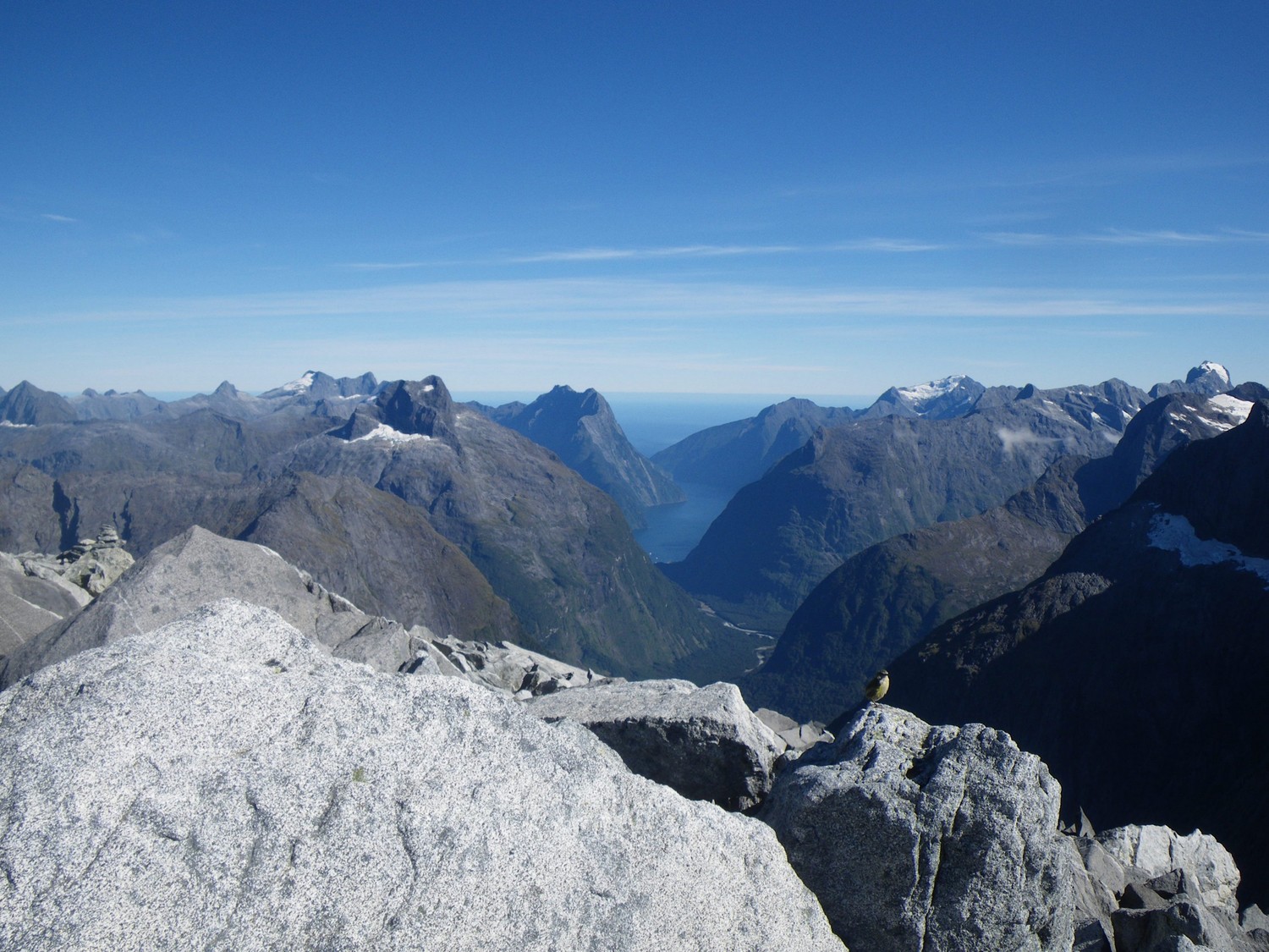 Fiordland; entre océan et glaciers (avec un Rock Wren)