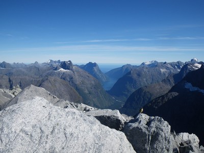 Fiordland; entre océan et glaciers (avec un Rock Wren) Fiordland; entre océan et glaciers (avec un Rock Wren)