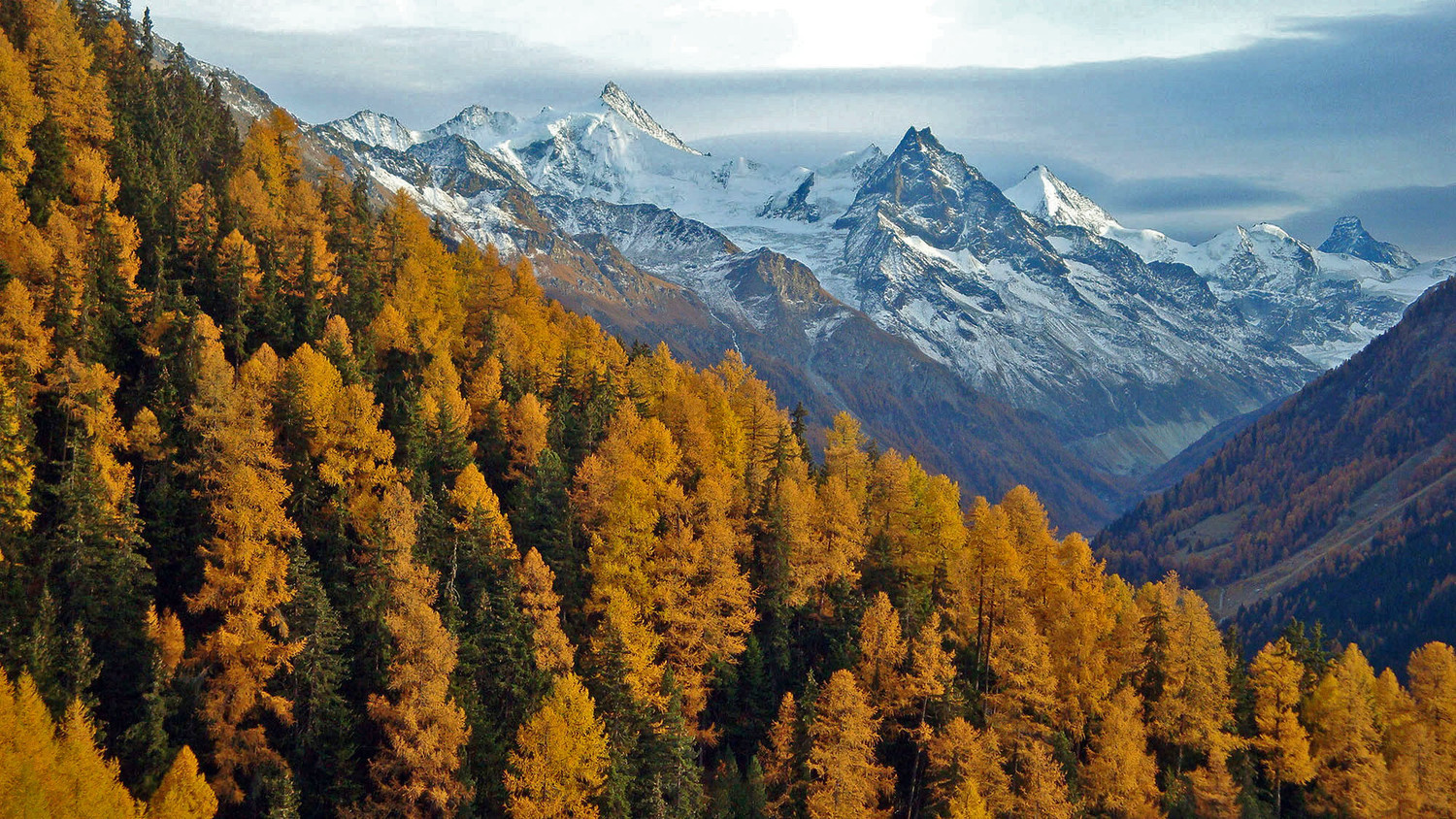 du Zinalrothorn ...au Cervin
