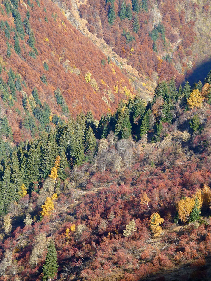 Couleurs d'automne