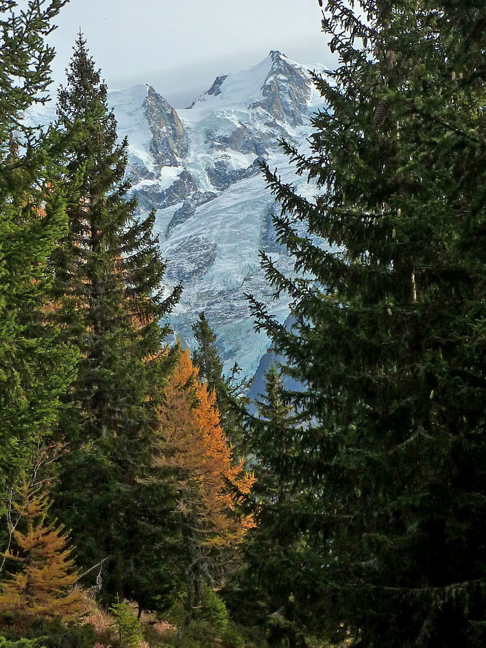 la foret maudite...