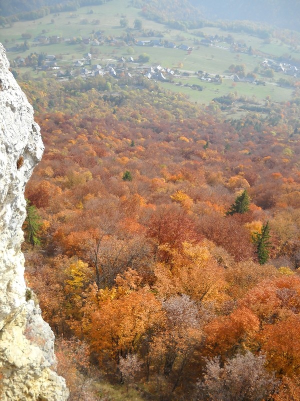 Belle forêt d'automne depuis R1
