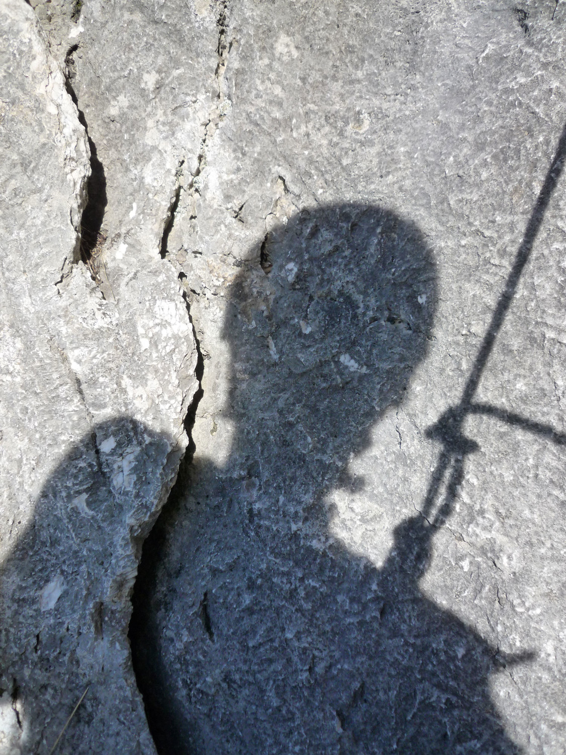 La femme de l'homme qui a vu le coin de bois n'est plus que l'ombre d'elle même: elle n'a jamais vu le coin de bois