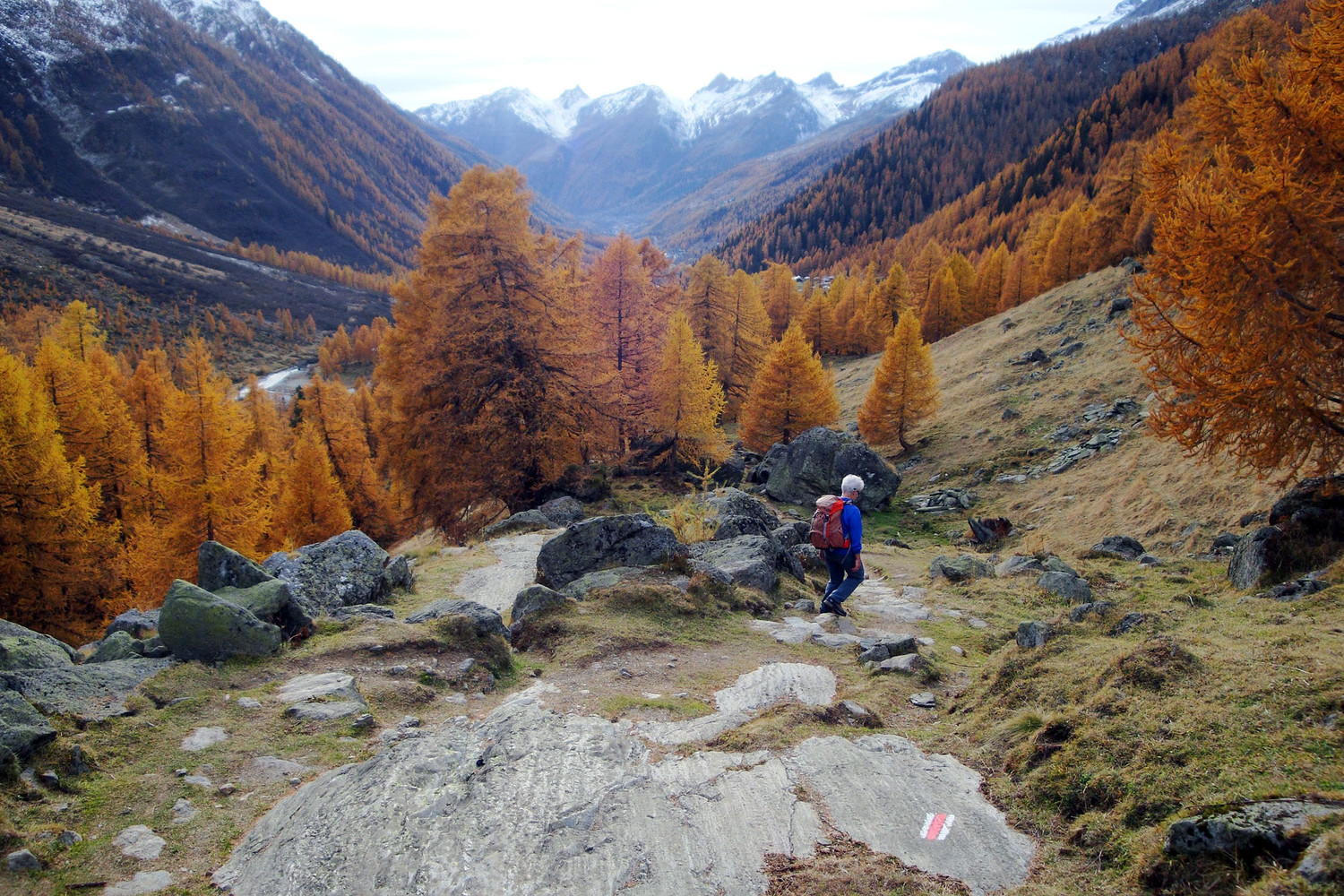 Descente sur Fafleralp