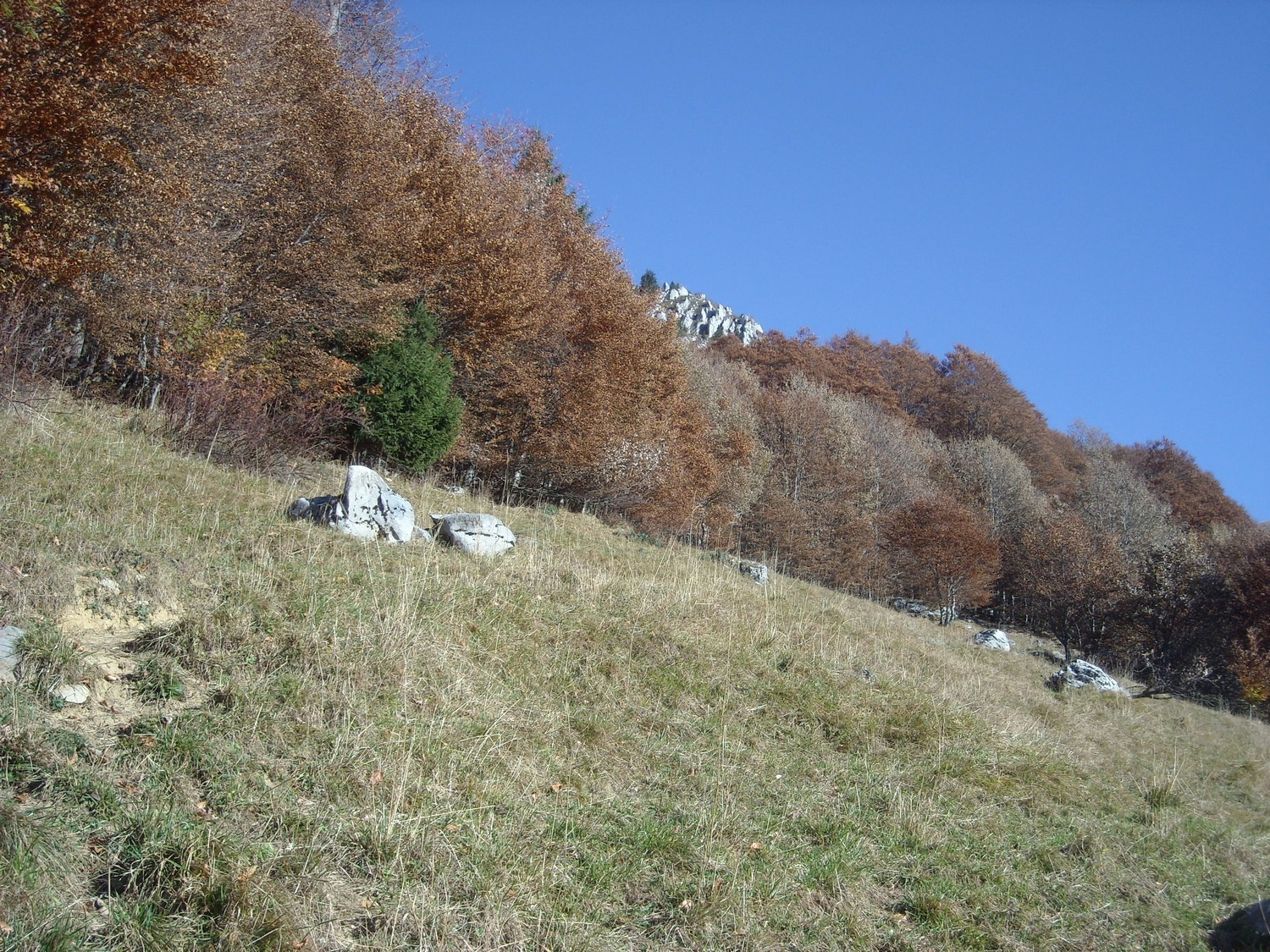 A cet endroit, quitter le sentier de la Buffaz et longer la forêt.