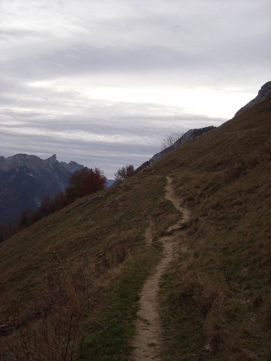 De retour sur un bon sentier !