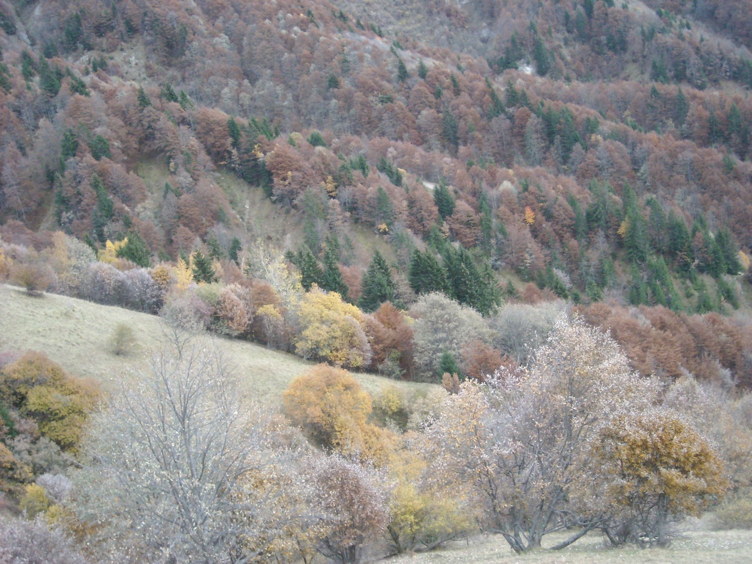 Ambiance automnale...