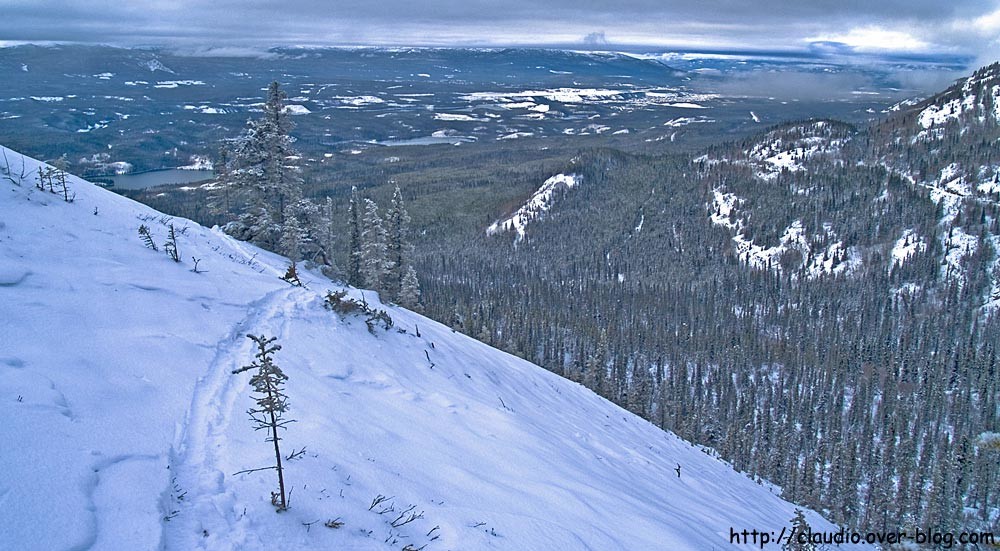 Grey Mountain
