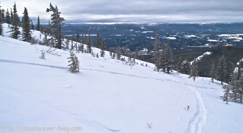 Grey Mountain