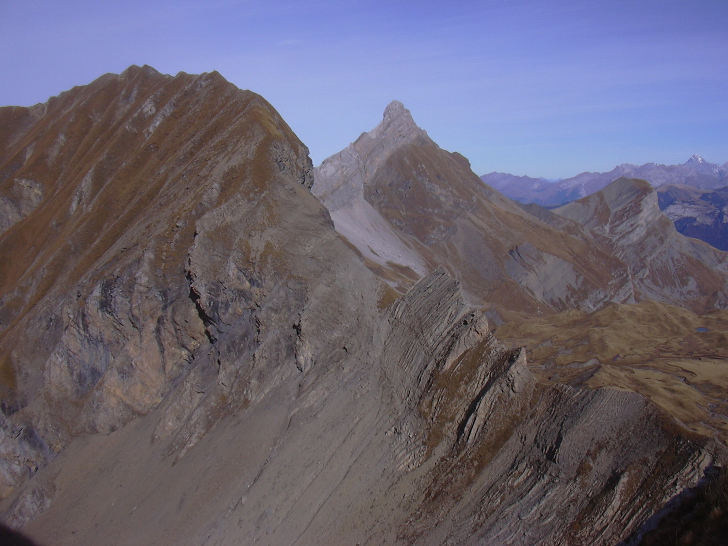 Le Mont Fleuri