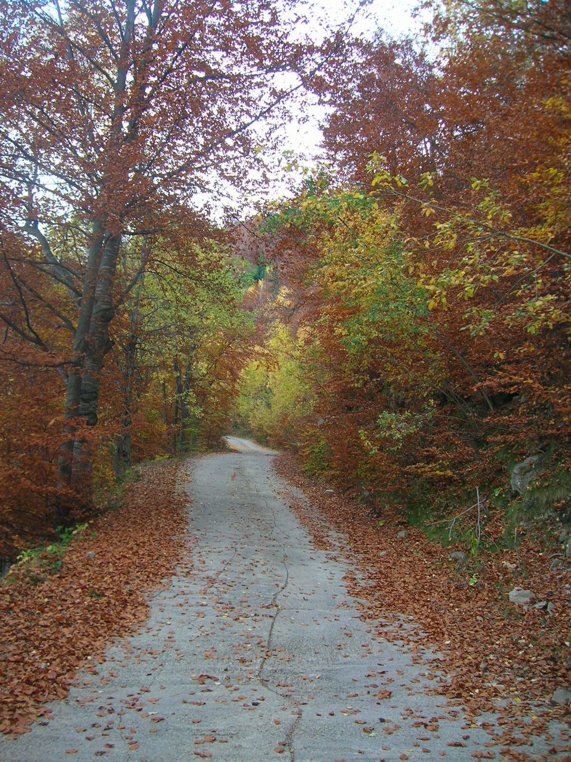 Montée vers Mariailles