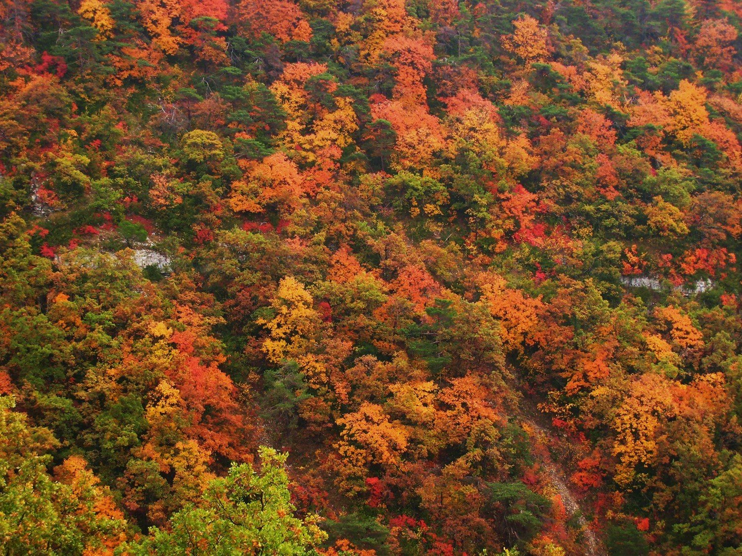 couleurs d'automne à Pont-de-Barret