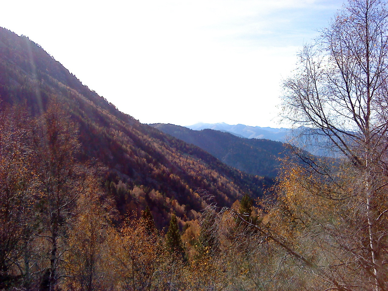 Automne